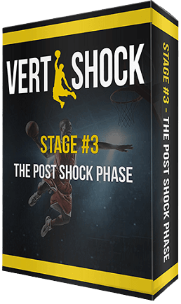 vert-shock-phase-2
